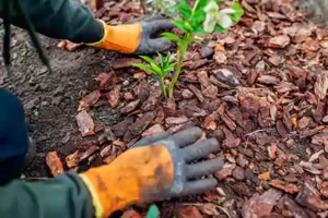 Expert Mulch Care Services Honey Brook, PA