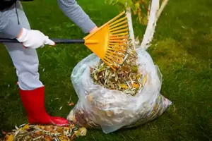 Top Rated Leaf Removal Honey Brook, PA
