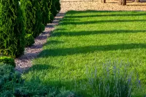 Top Rated Mulch Care Services Honey Brook, PA